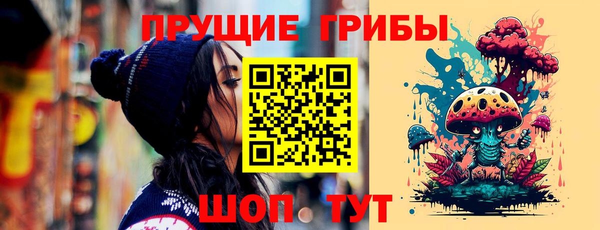 Галлюциногенные грибы GOLDEN TEACHER  Галлюциногенные грибы Psilocybine cubensis  Химки  Вход с VPN 
