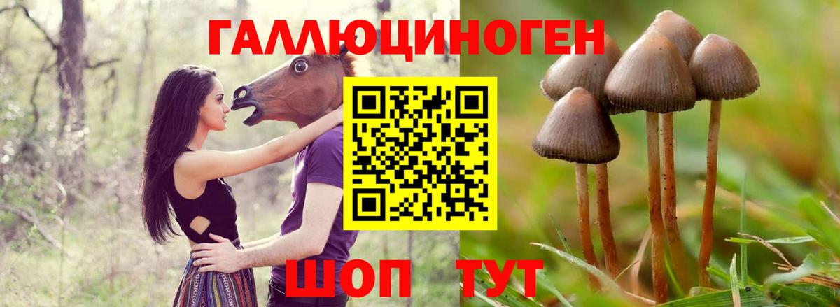Галлюциногенные грибы мухоморы Химки