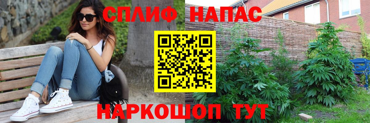 Бошки Шишки индика Химки